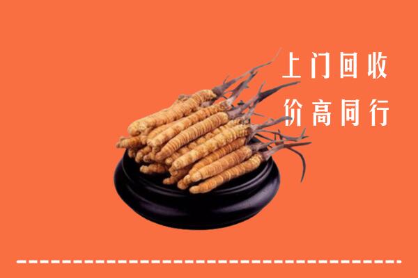 高价求购：巫溪县回收散虫草