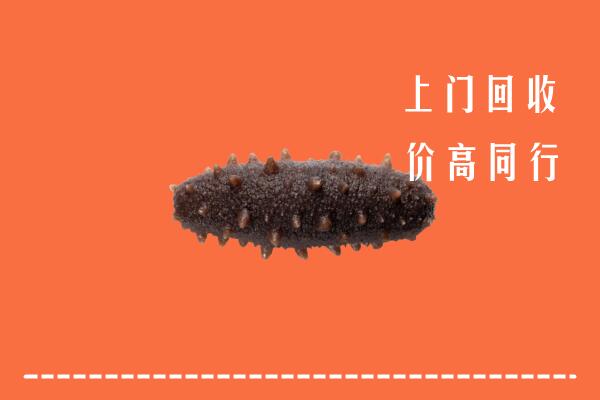 高价求购：巫溪县回收海参