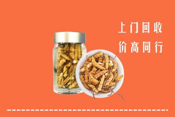 巫溪县回收冬虫夏草